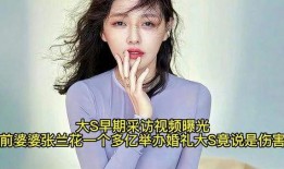 爆料前婆婆视频,揭秘家庭背后的惊人真相